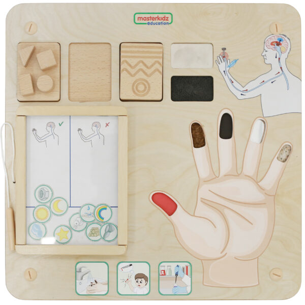 30012026697c77157d66a.jpeg MASTERKIDZ Tablica Edukacyjna Zmysł Dotyku Montessori