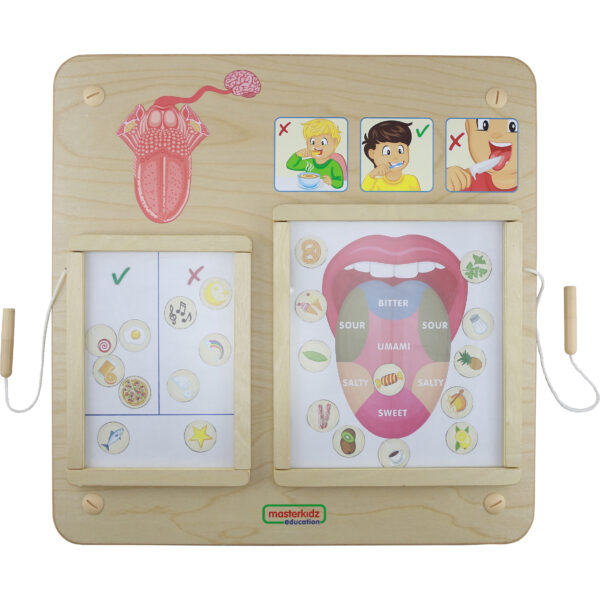 30012026697c77410235e.jpeg MASTERKIDZ Tablica Edukacyjna Zmysł Smaku Montessori